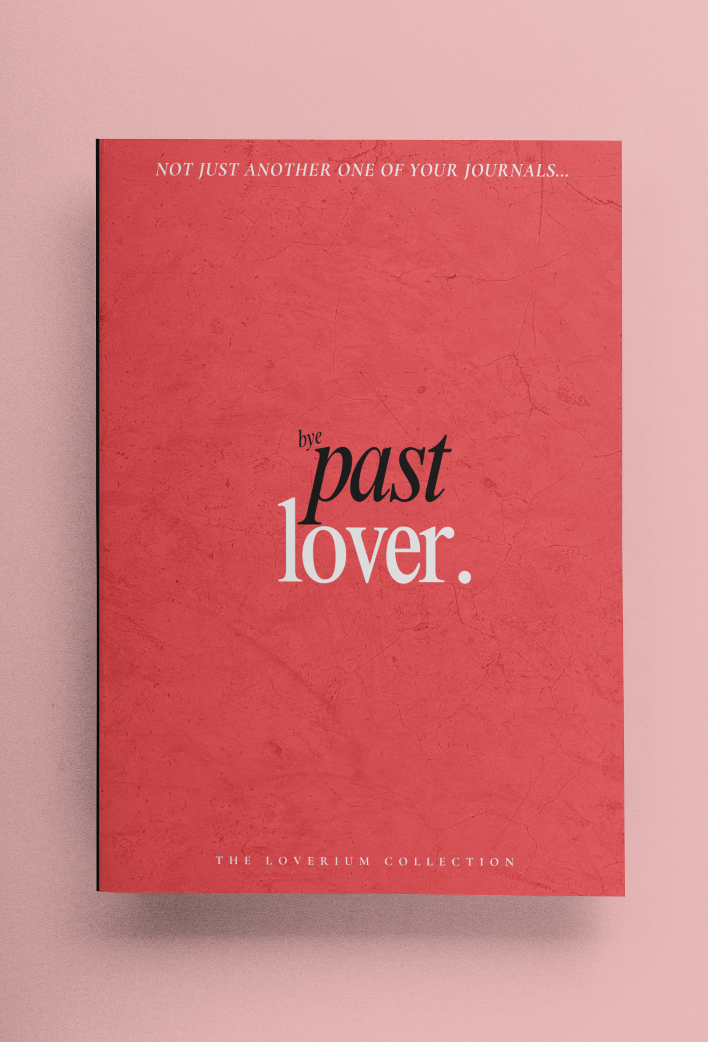 Past Lover Journal